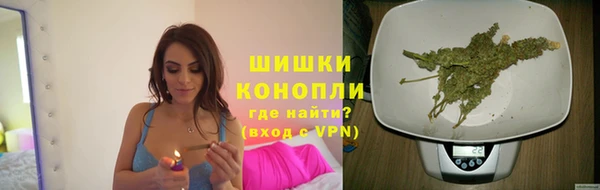 дживик Дмитровск