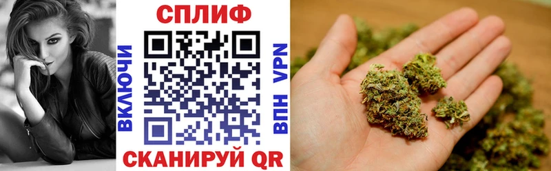 Конопля ГИДРОПОН OMG ССЫЛКА Макаров